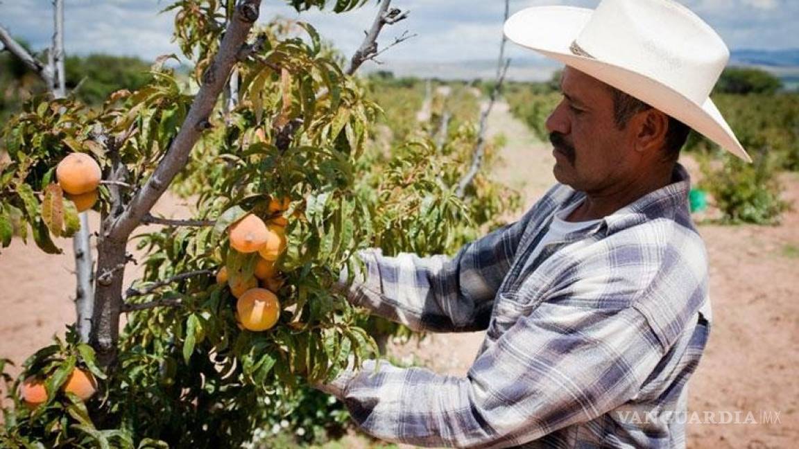 CFE alista embargos a 5 mil agricultores, por adeudos en Chihuahua