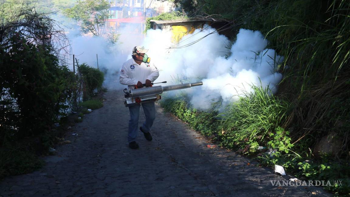 Alarma incremento de casos de dengue en el sur de México