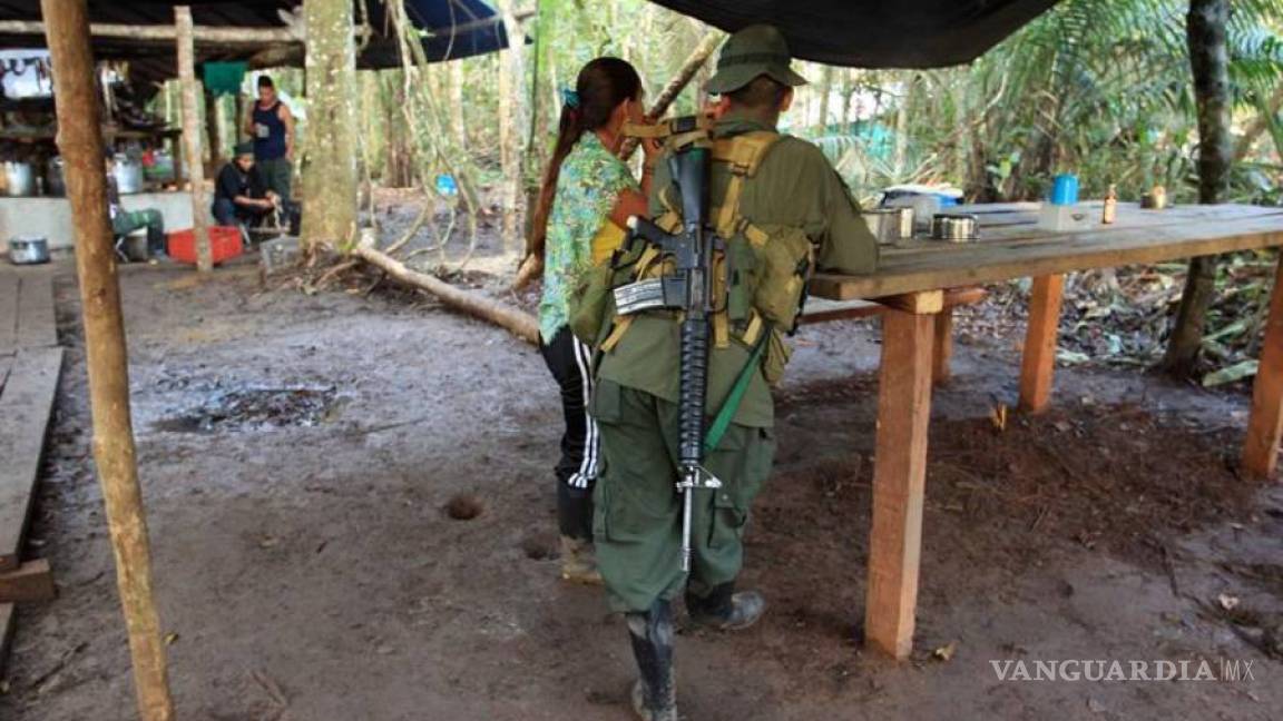 ¿Cómo será el proceso de desmovilización y desarme de las FARC?