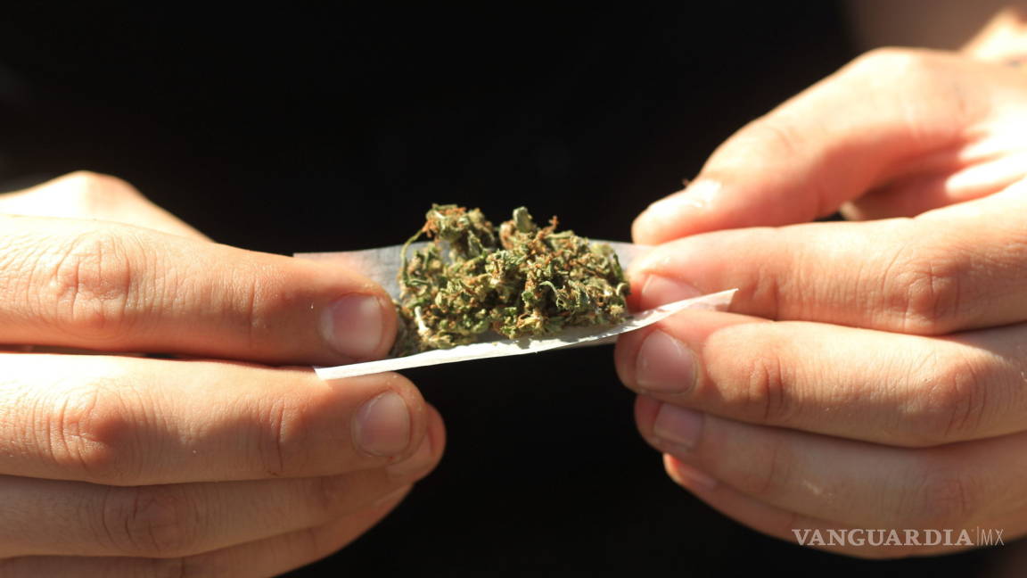 Instalan consejo técnico sobre legalización de mariguana