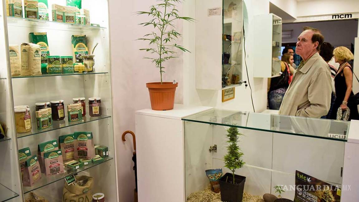 Inauguran museo de mariguana en Montevideo, Uruguay