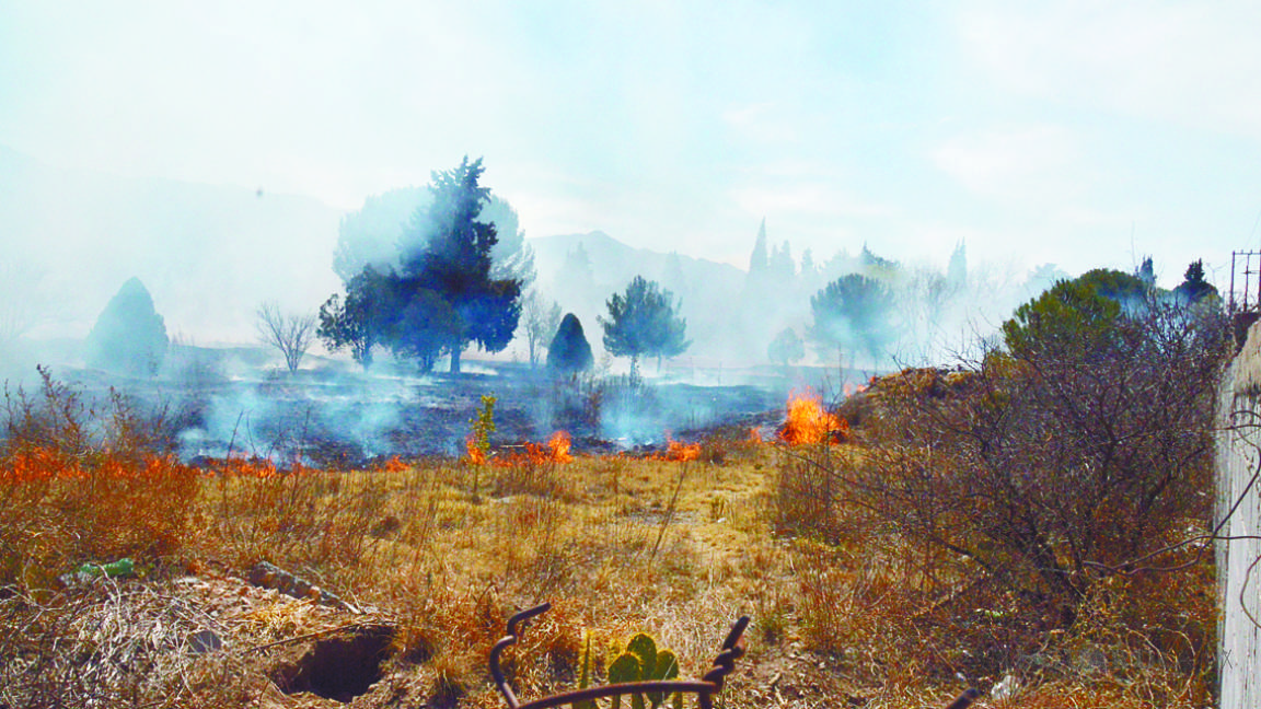 Incendios destruyen 419 hectáreas en Coahuila en el último mes