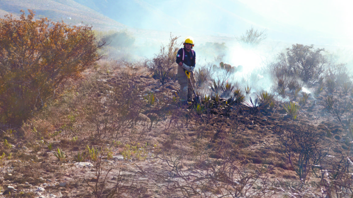 Incendio en Sierra de Zapalinamé arrasa con 3 hectáreas de lechuguilla