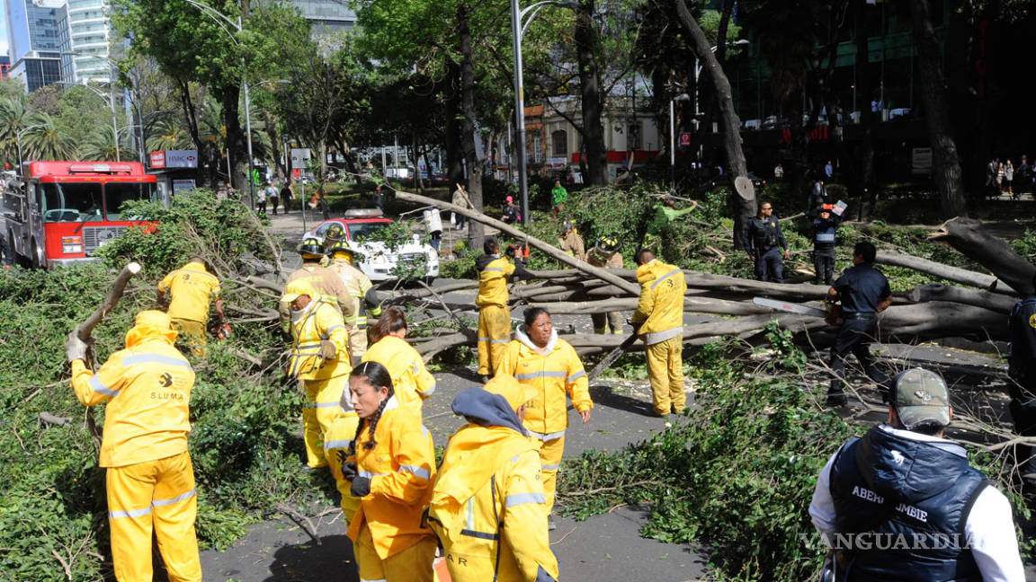 Ráfagas derriban más de 800 árboles en la CDMX; seis muertos en el país