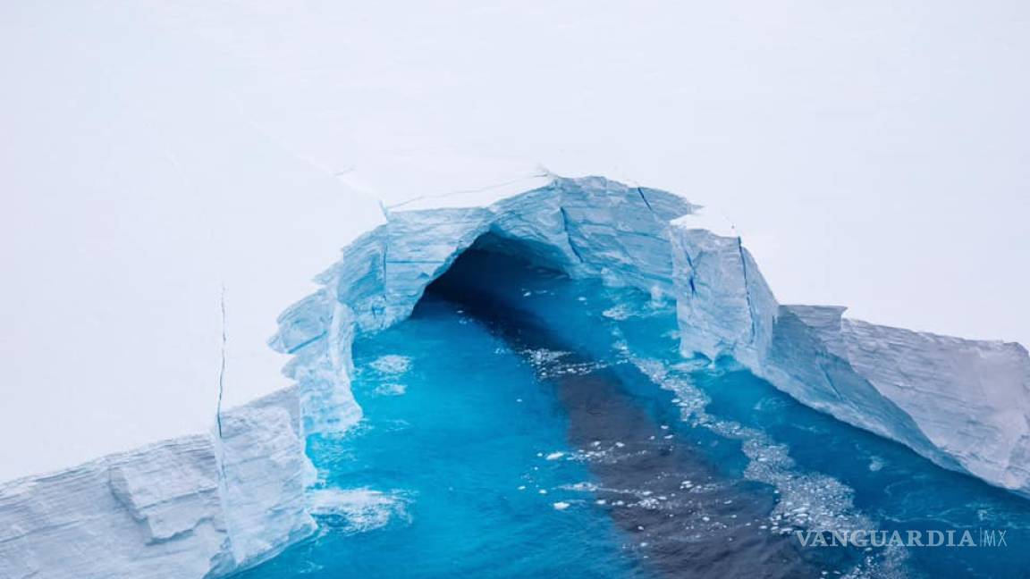 El iceberg más grande del mundo podría colisionar con isla con millones de pingüino