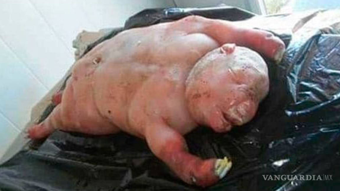 Nace un &quot;bebé cordero&quot; en aldea de Sudáfrica, dicen que fue enviado &quot;por el diablo&quot;