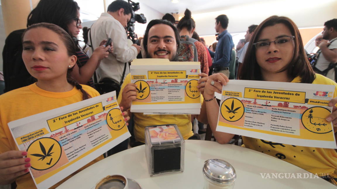 PRD pide a Cofepris 32 permisos para uso lúdico de mariguana