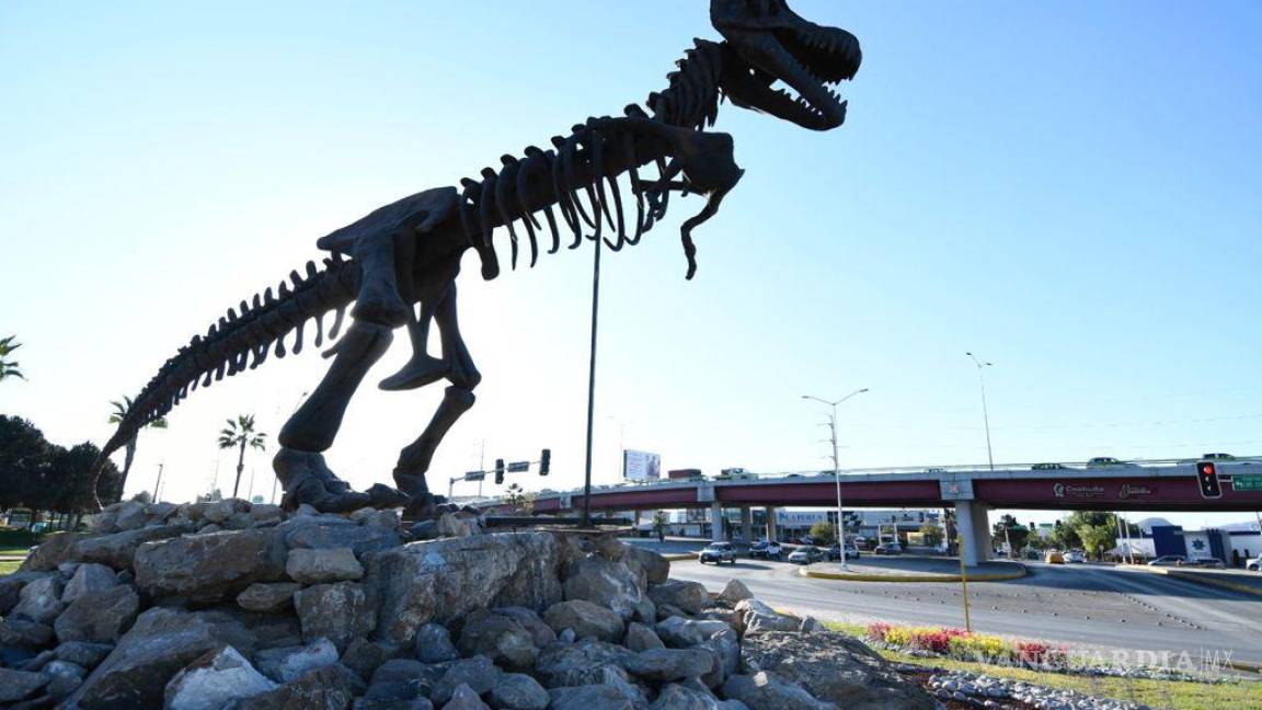 Dos kilómetros; lo que ‘caminó’ el T-Rex del MUDE de Coahuila hasta su nueva ubicación en Saltillo