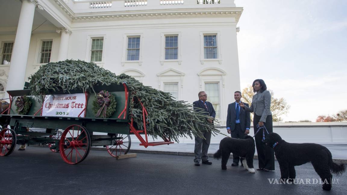 Michelle Obama recibió árbol de Navidad para la Casa Blanca