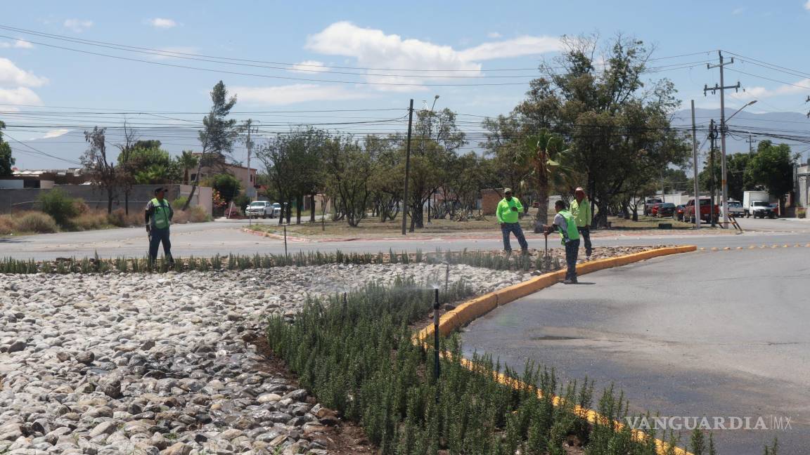 Programa ‘Aquí Andamos’ embellece entradas clave de Saltillo Programa ‘Aquí Andamos’ embellece entradas clave de Saltillo