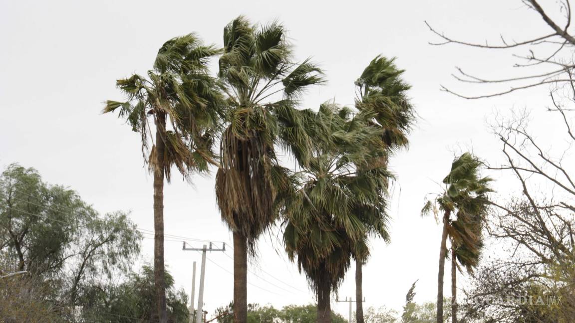 Alertan por vientos de hasta 100 kilómetros por hora en Coahuila