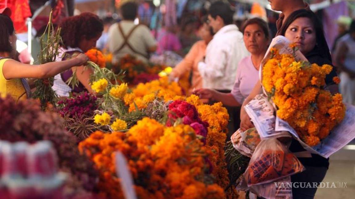Pondrá Profeco bajo lupa a florerías por Día de Muertos