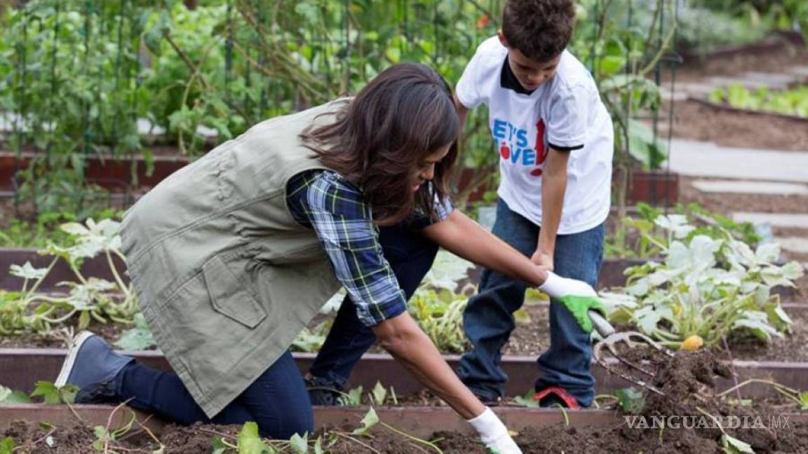 Michelle Obama recolecta su última cosecha en la Casa Blanca