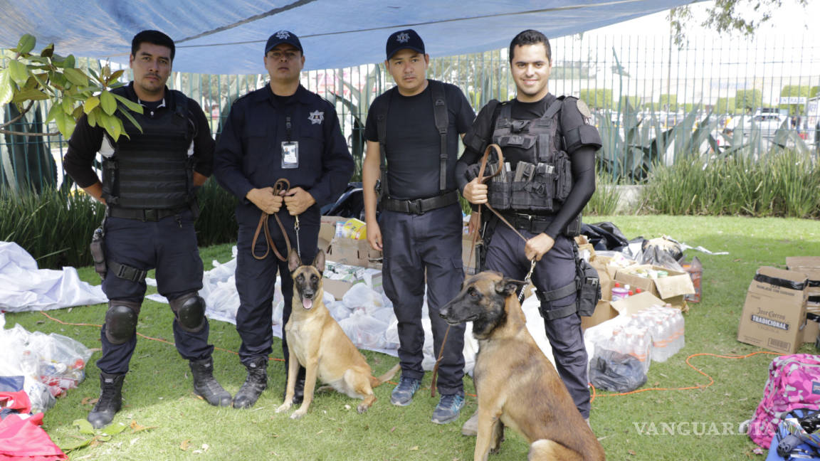 Héroes laguneros: El escuadrón canino rescata cinco cuerpos
