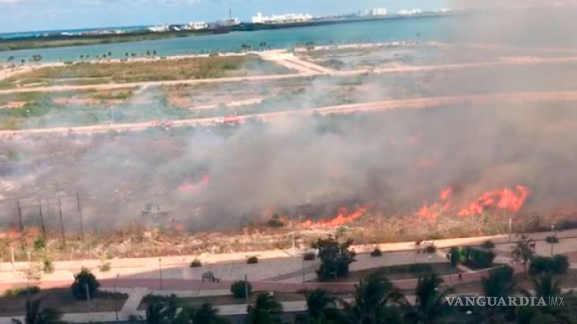 Incendio destruye parte del manglar Tajamar; fue provocado, acusan
