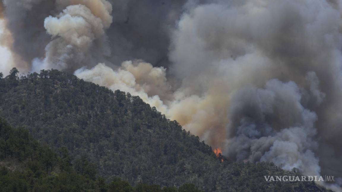 Batalla contra el fuego: Coahuila sofoca cuatro incendios forestales y continúa el combate en 8 más