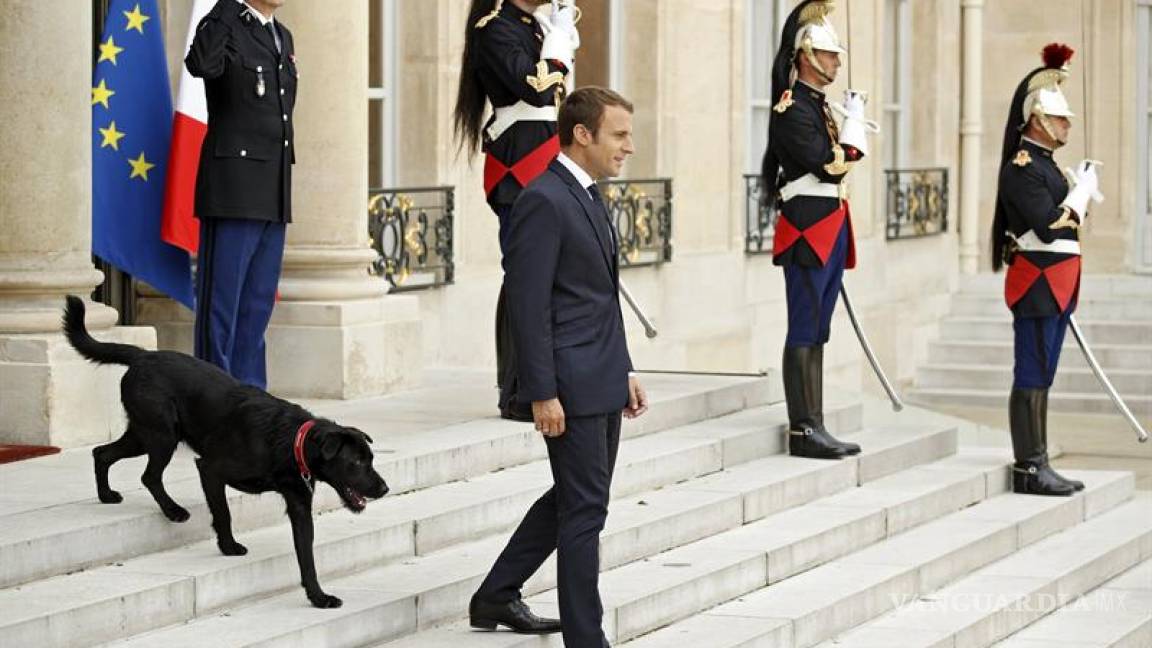 Macron adopta un perro al que llama Nemo