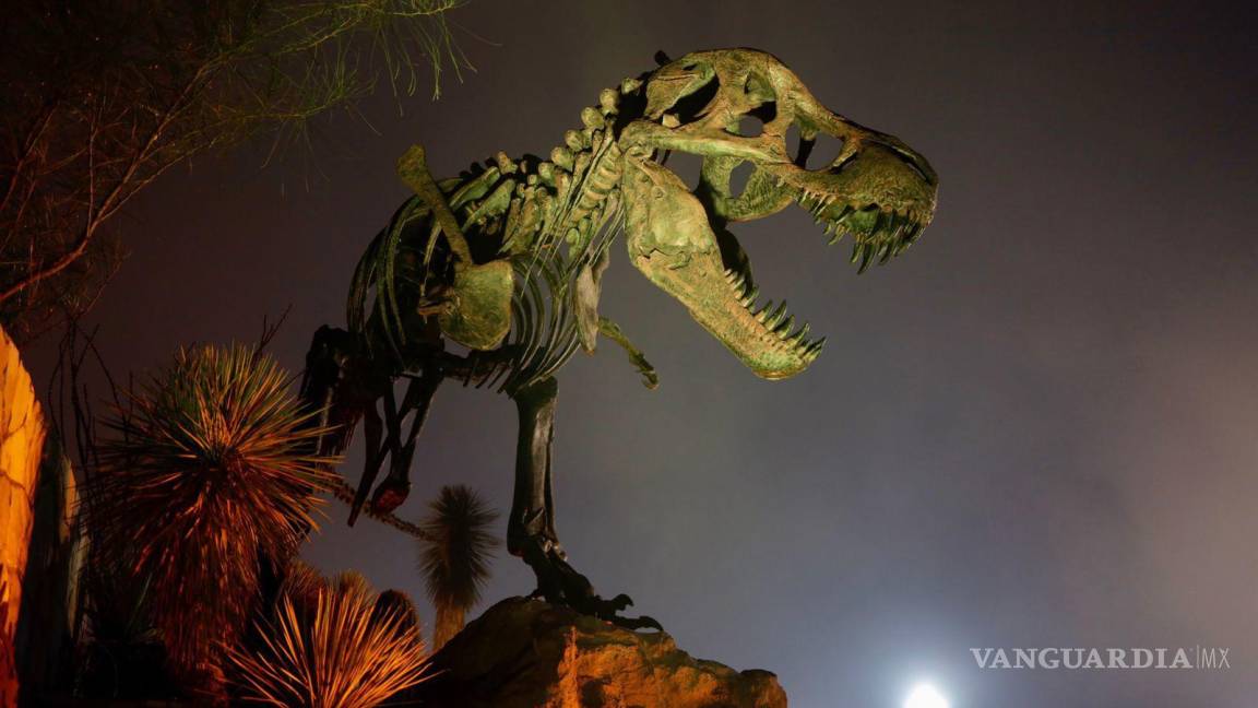 Inauguran T-Rex que ocupará glorieta y Museo del Desierto en Saltillo