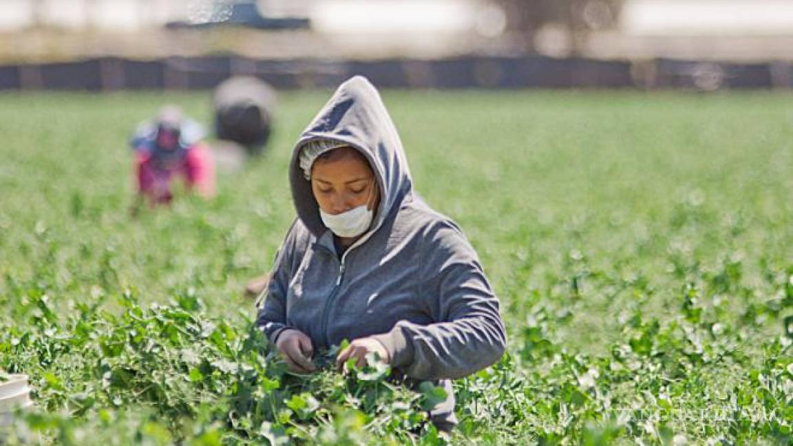 Es Coahuila tercer estado con menos trabajadores agrícolas