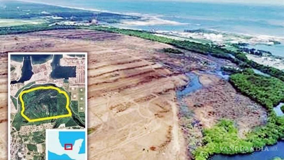 Ya se destruyeron 300 hectáreas de selva para refinería de Tabasco, proyecto del gobierno de AMLO