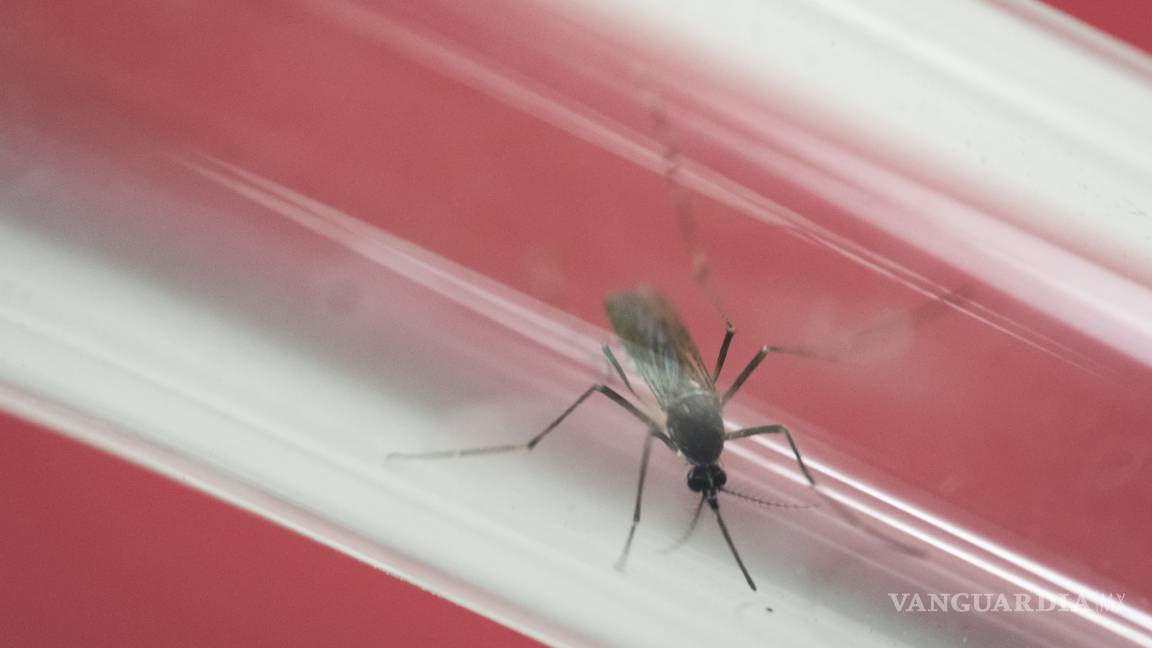 Más de 2 mil casos de zika en Puerto Rico