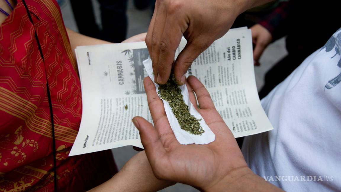 'Gobierno puede controlar la mariguana mejor que el narco'