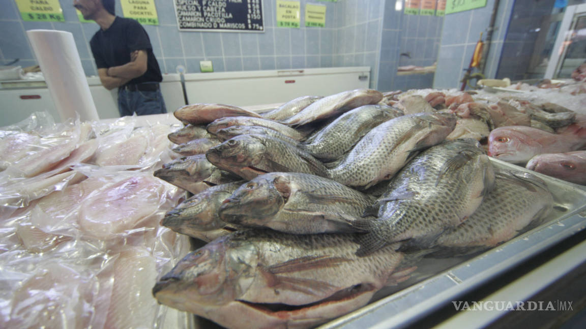 Aumenta 20 por ciento la venta de pescado