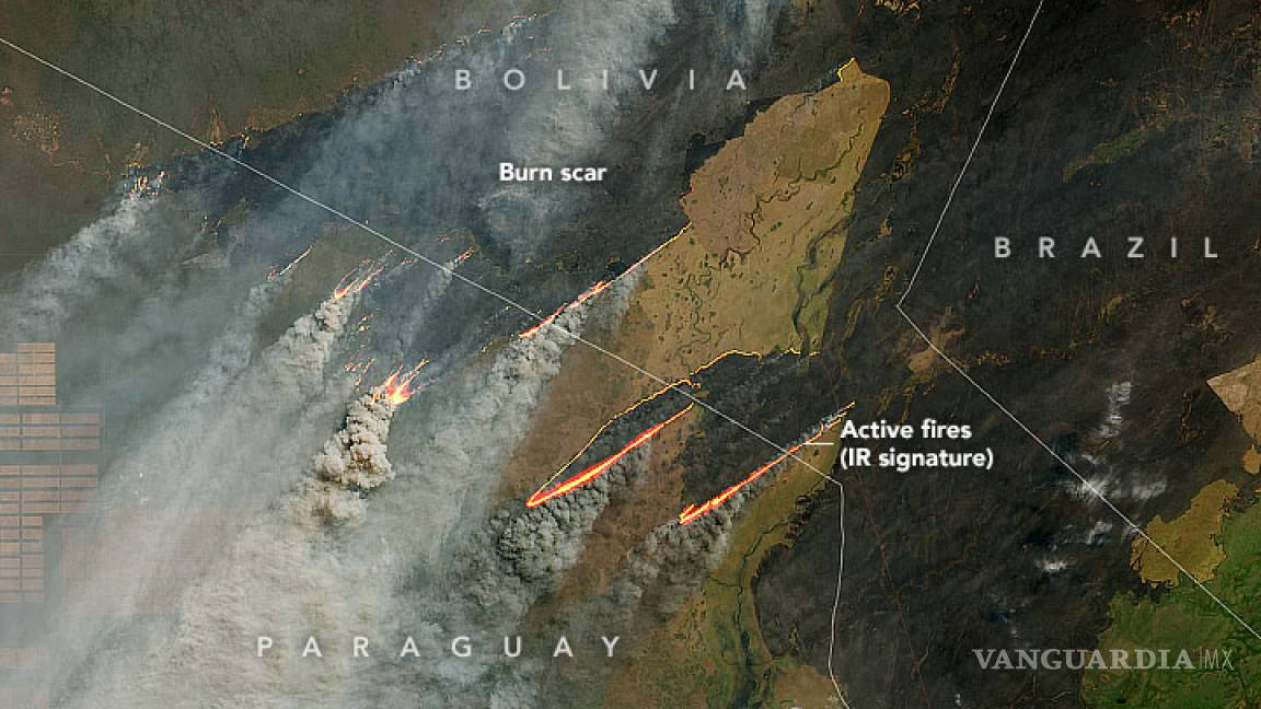 Analizan investigador de El COLEF, impacto de incendios en el Amazonas de Brasil
