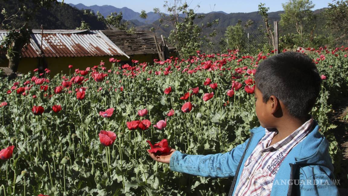 México, tercer productor de heroína en el mundo