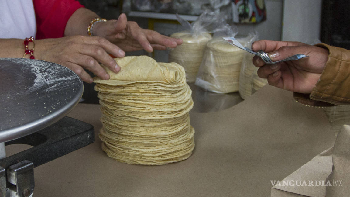 Aumento a la tortilla debe ser sólo de cinco centavos, dice Profeco a tortillerías de Saltillo