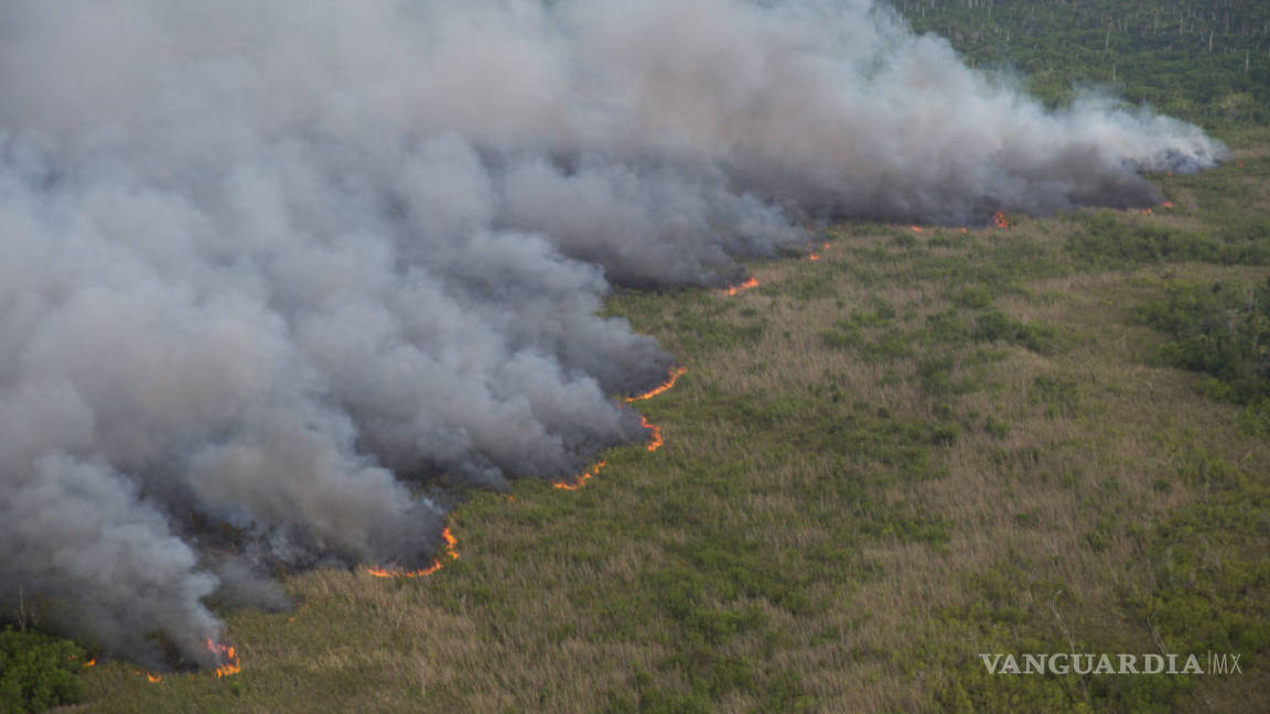Incendio afectó mil 500 hectáreas de ecosistema costero en Yucatán
