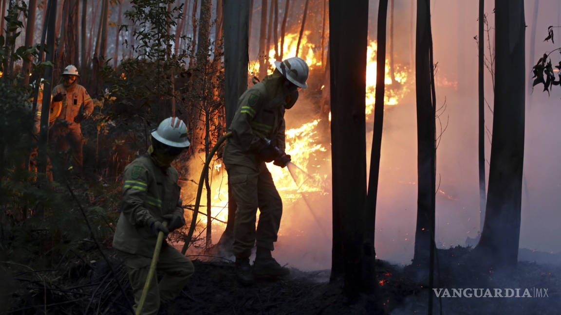 Incendio forestal en Portugal deja al menos 62 muertos y 54 heridos