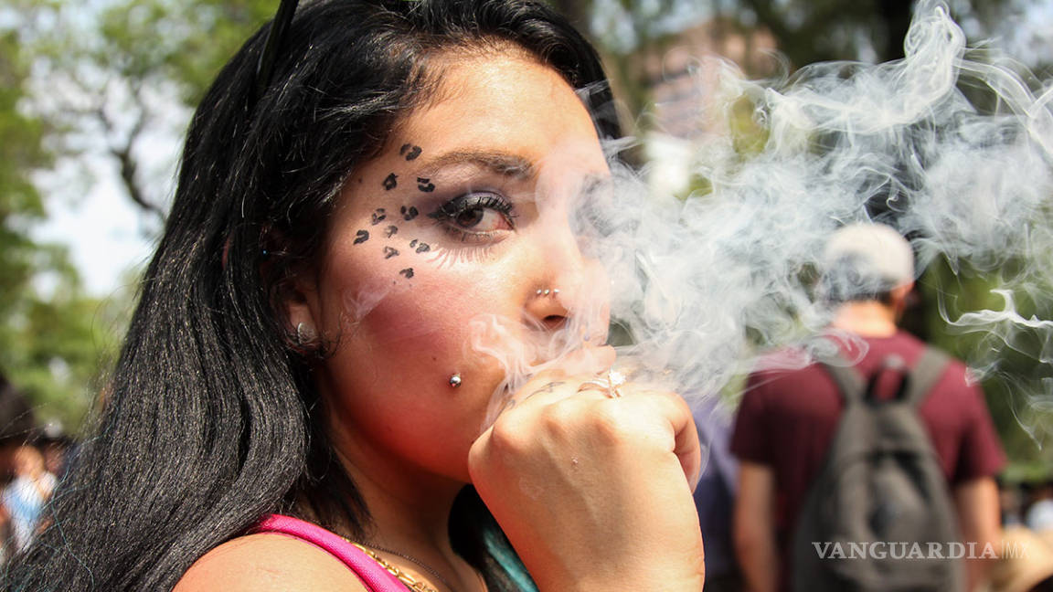 Consumidores de mariguana marchan para pedir el cultivo libre
