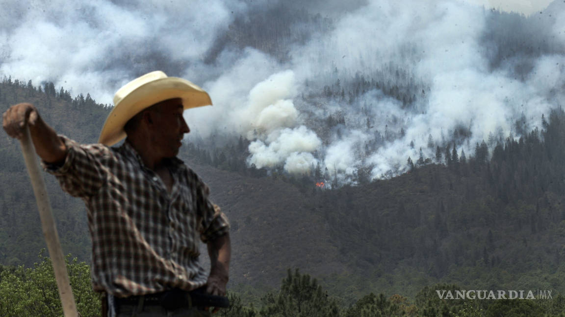 Ahuyenta lluvias riesgo de incendios forestales en Coahuila