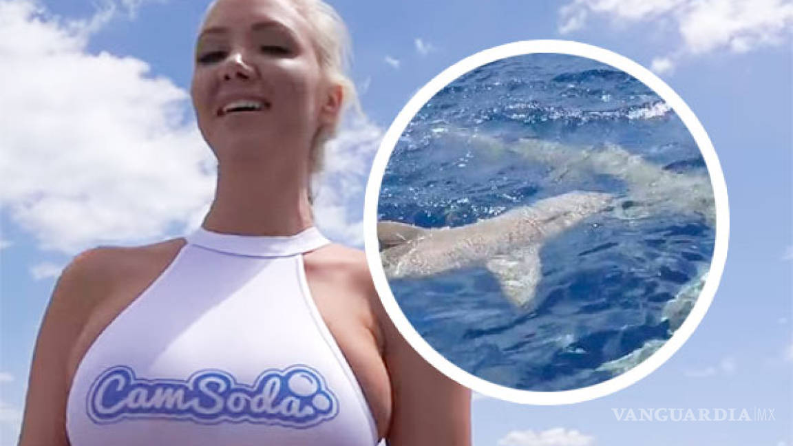 Tiburón atacó a actriz porno cuando filmaba un comercial