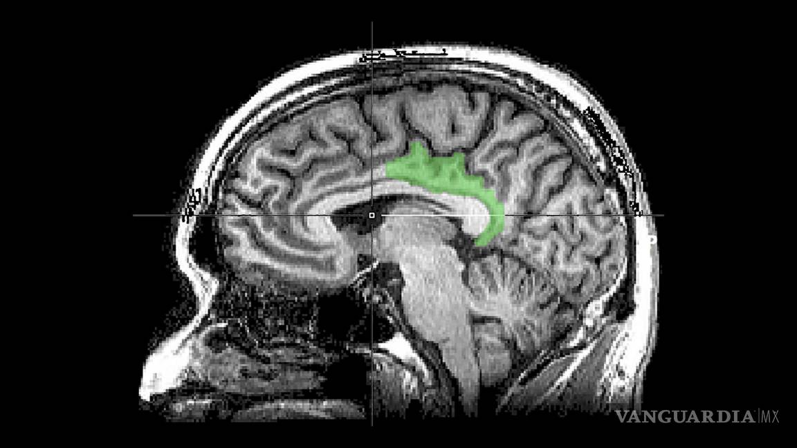 Un estudio del cerebro sugiere que los recuerdos traumáticos se procesan como una experiencia actual