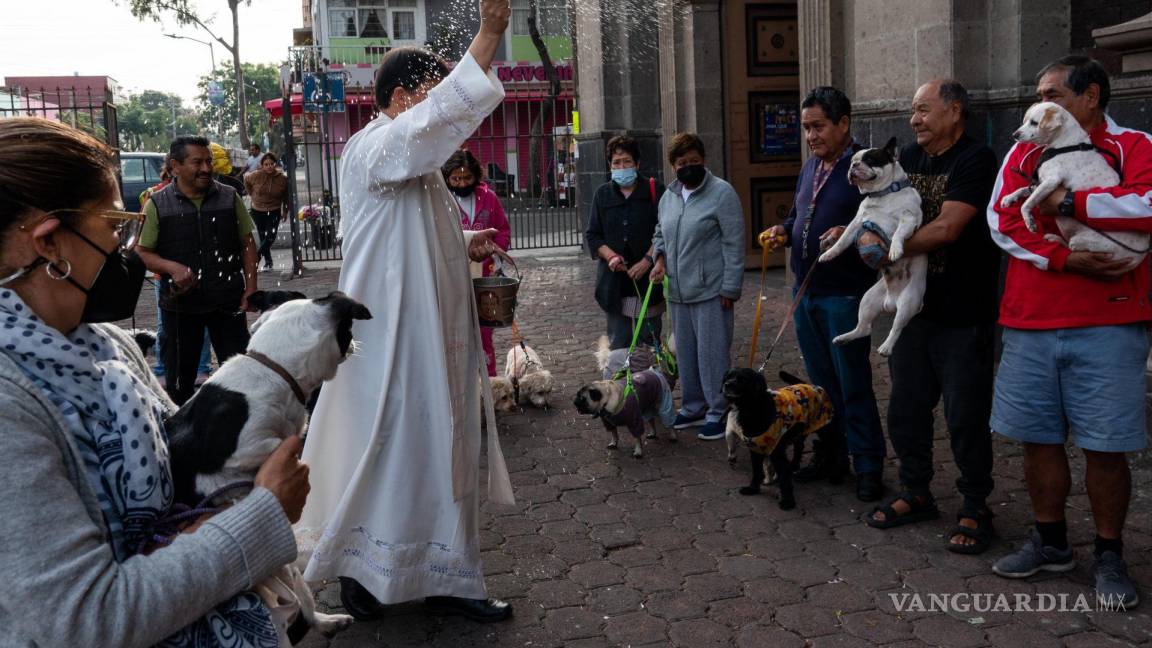 ¿Por qué se bendicen las mascotas en el día de San Antonio Abad?