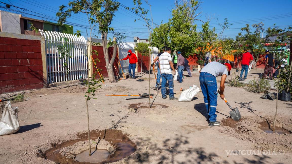Saltillo Ecológico busca reforestar a la capital de Coahuila
