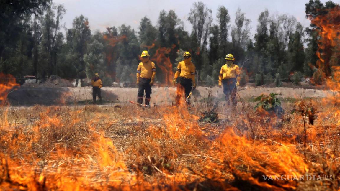 Suman 407 incendios forestales en Coahuila en los últimos 6 años