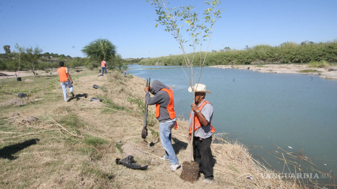 Muro Verde de Coahuila alteró los ecosistemas