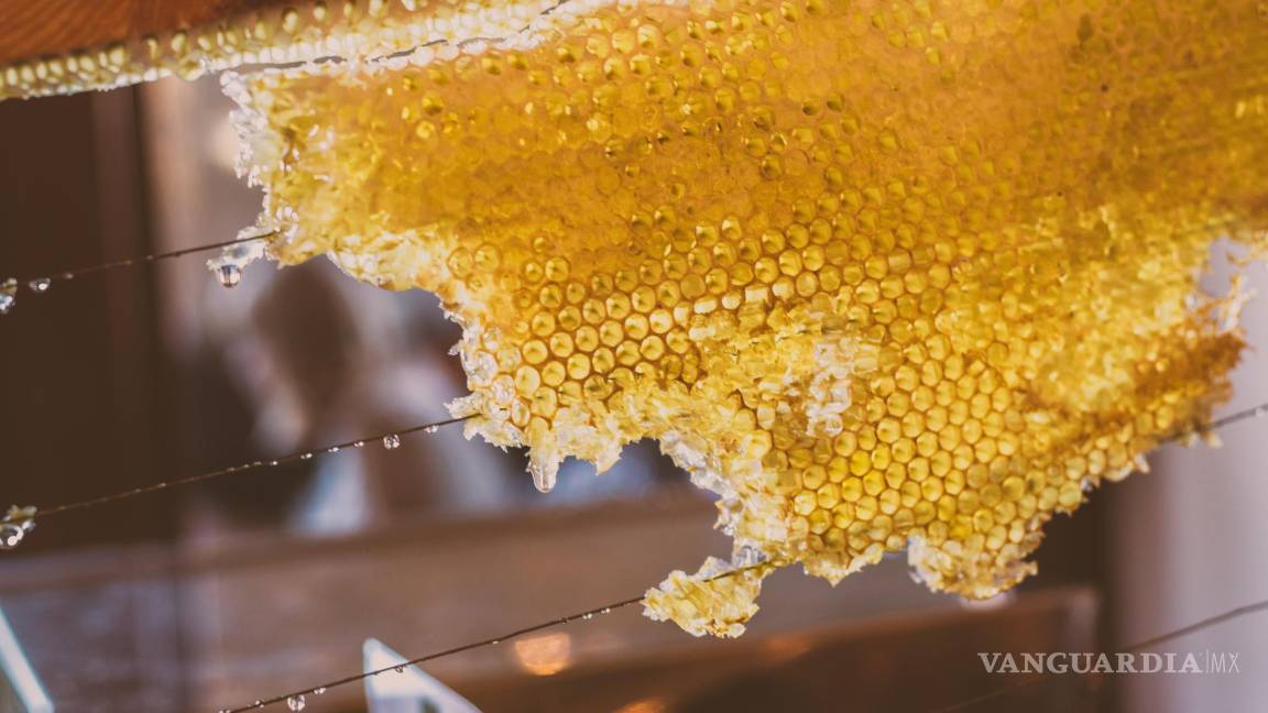 Sube costo de la miel 50% por cambio climático