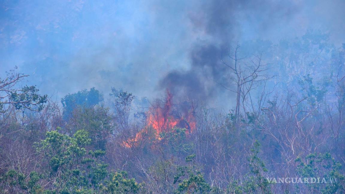 Incendio en Parque Nacional ‘El Veladero’, en Acapulco, lleva activo cinco días
