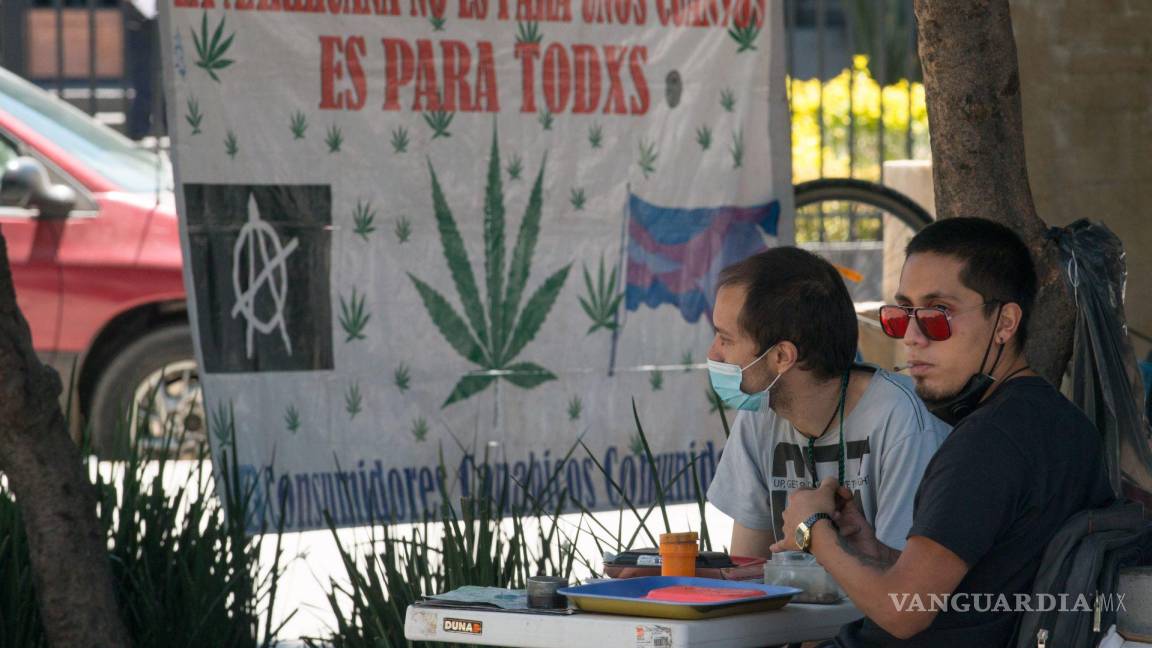 En Coahuila, bajan solicitudes para uso lúdico o medicinal de la mariguana