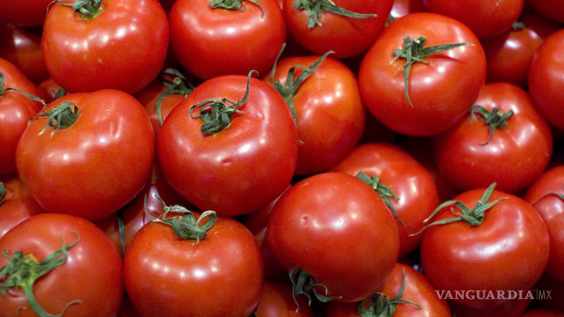 Aumento del tomate por llegar; subiría hasta 40%