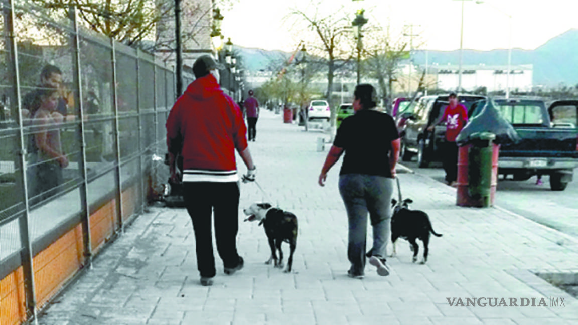 Piden ciudadanos prohibir los perros pitbull en Ramos Arizpe