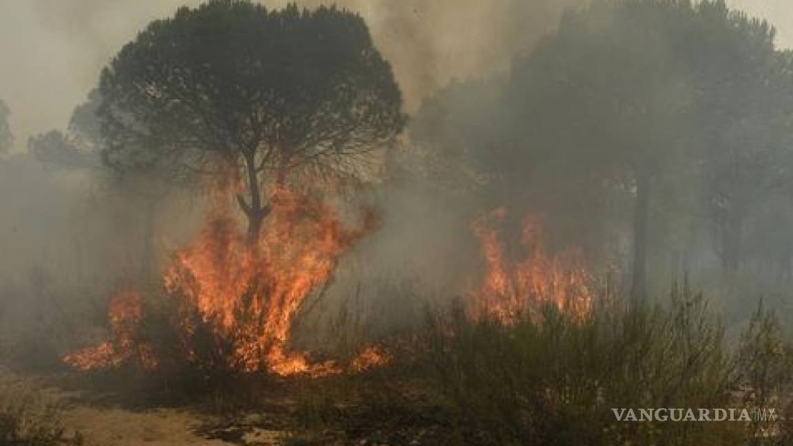 Desalojan a dos mil personas por incendio en Parque Nacional de España
