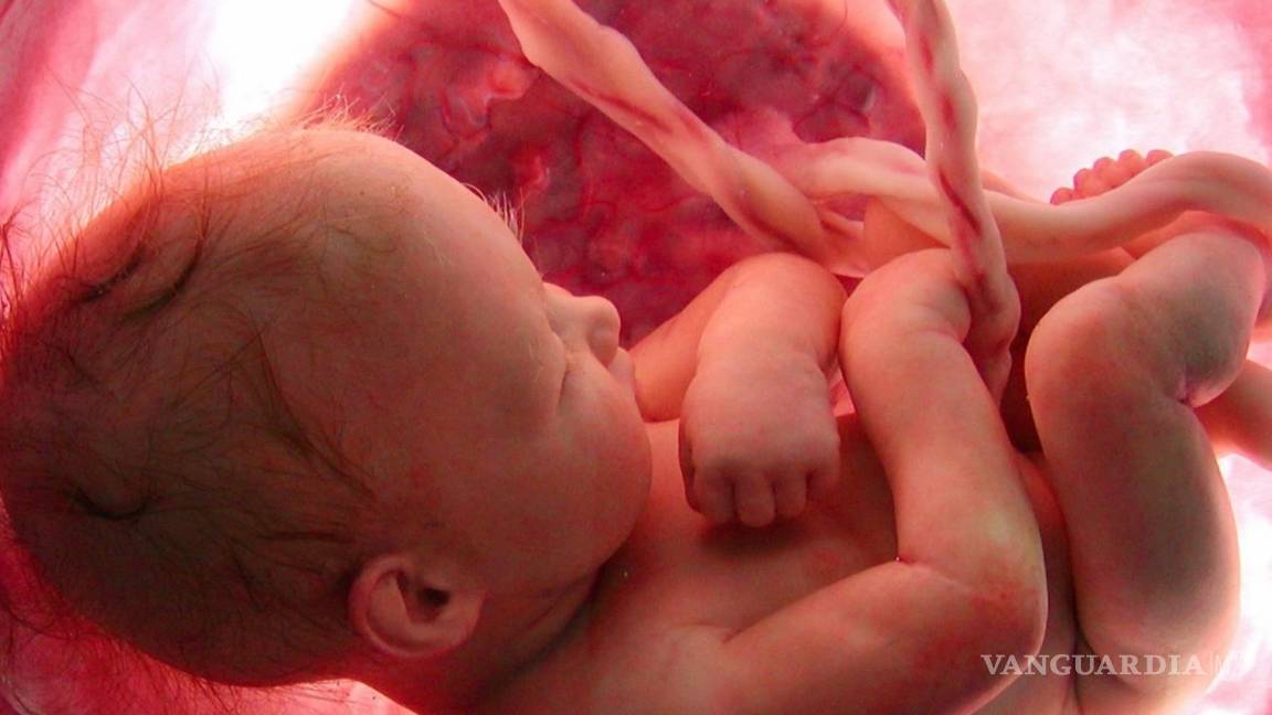 Crean una técnica para conocer el estado de salud de los embriones