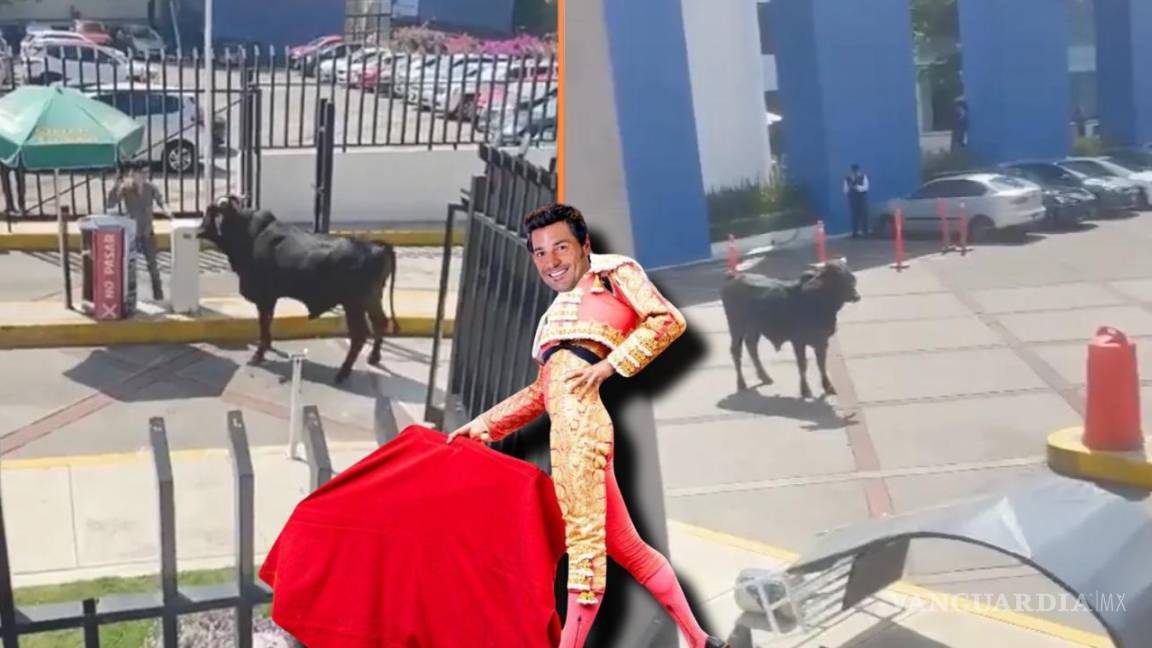 ‘¿Hay que ser torero?’: toro sorprende a estudiantes de La Salle Pedregal en CDMX (VIDEO)