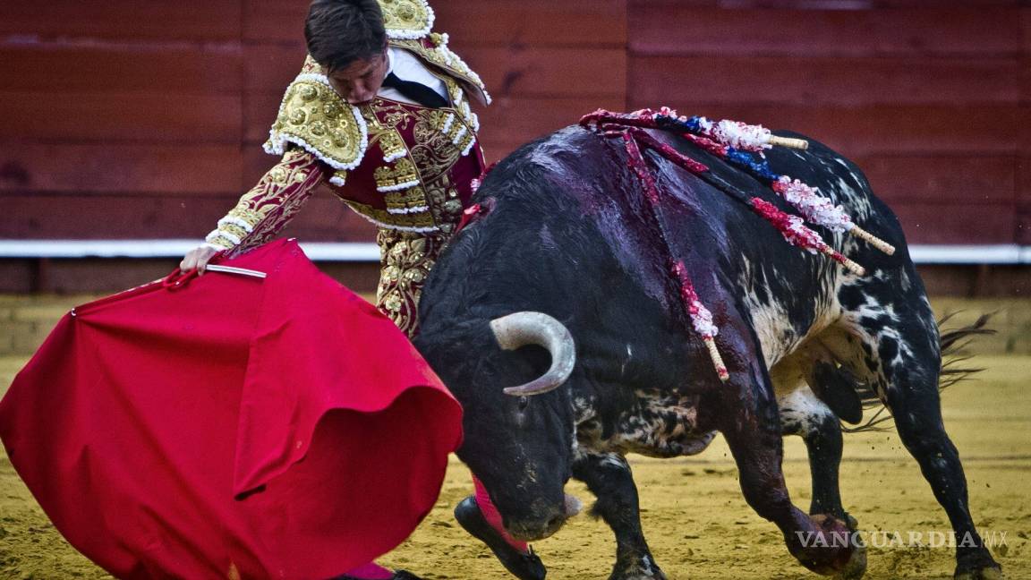 Los toros, más cuestionados que nunca en España