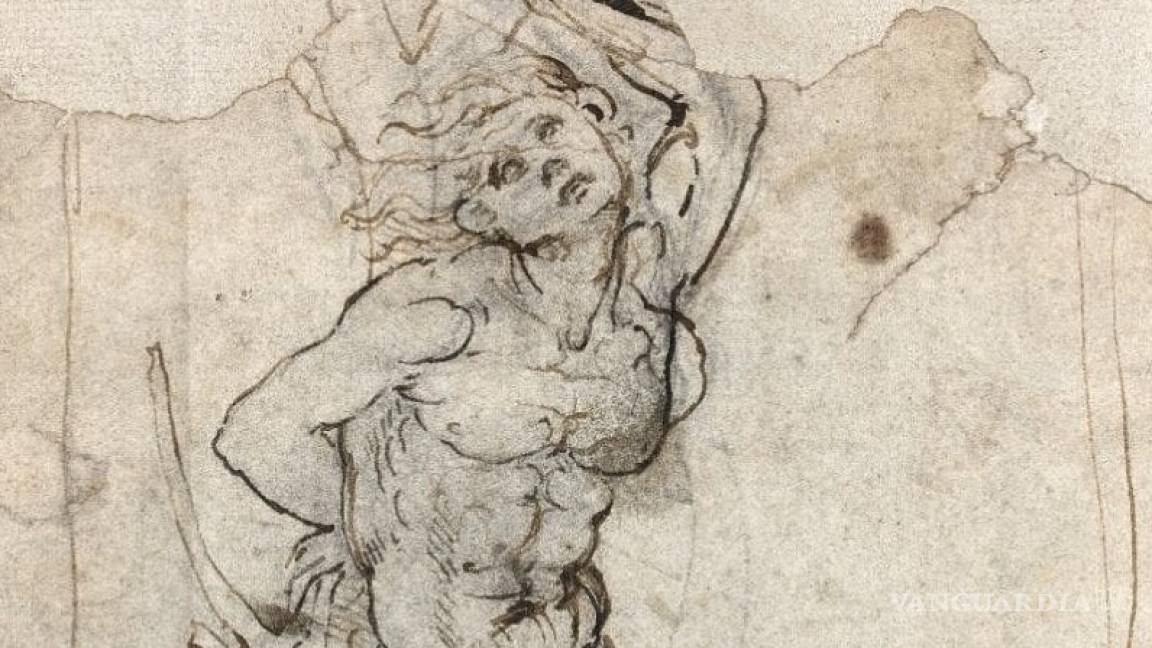 Muestran dibujo inédito de Da Vinci